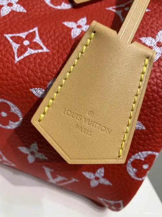 WIS 25 VUITTON  P9 Speedy Bandoulière LOUIS 0515
